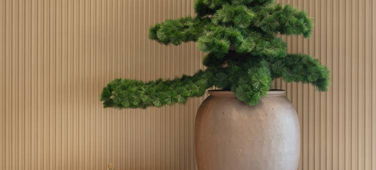 全季酒店(泉州丰泽广场丰田街店)图片