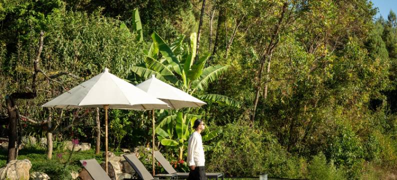 大理洱源朴山.野奢森林温泉图片