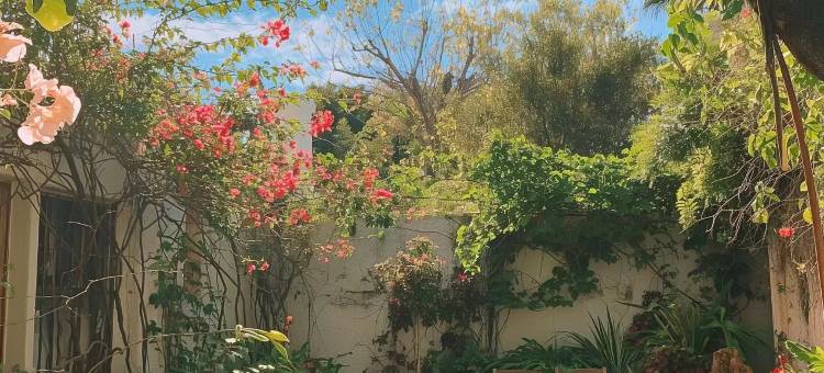 Delicacy·溪弦雨巷|漫画里U.R旅居度假民宿(丽江古城店)图片