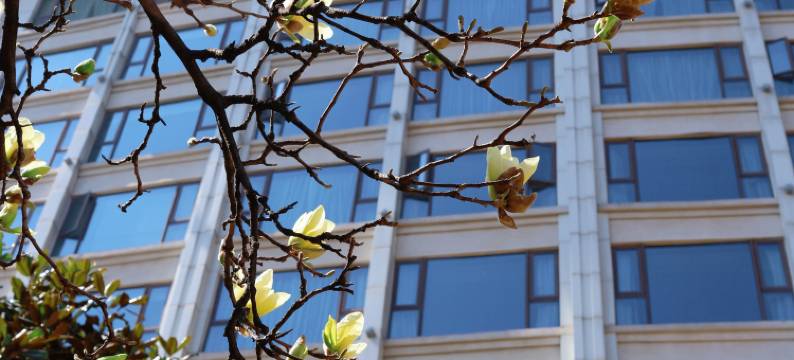 南阳建业森林半岛假日酒店图片