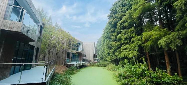 心宅森林净心禅舍(金湖水上森林景区店)图片