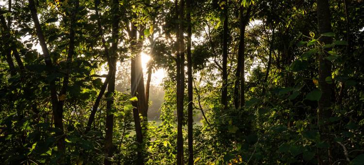 内罗毕Kwetu酒店，希尔顿格芮精选(Kwetu Nairobi, Curio Collection by Hilton)图片