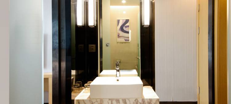 新华假日酒店(天津滨海国际机场店)图片