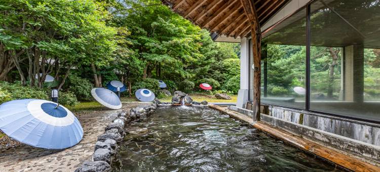 龟之井酒店秋田汤濑(KAMENOI HOTEL AKITA YUZE)图片