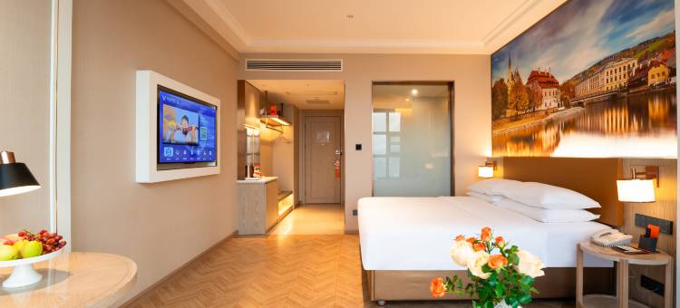 维也纳酒店(黔东南丹寨万达小镇店)图片