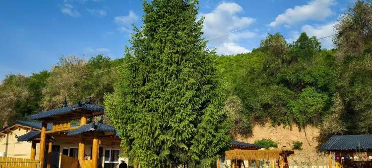 客来盛意民宿图片