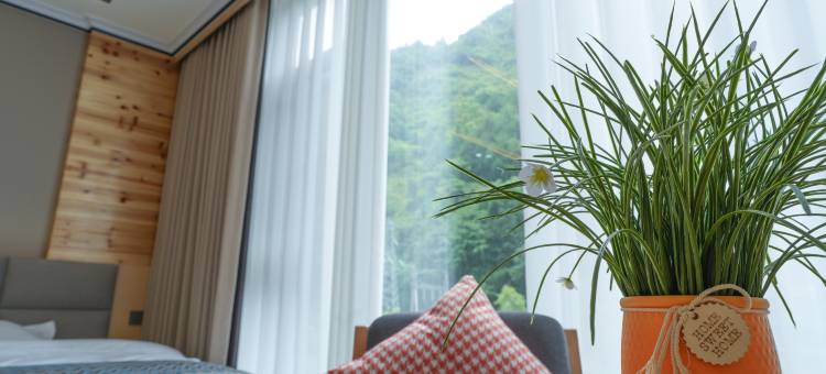 汶川隐明山居(干海子景区店)图片