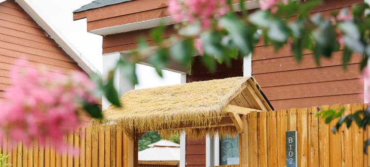 清远·远青温泉民宿图片