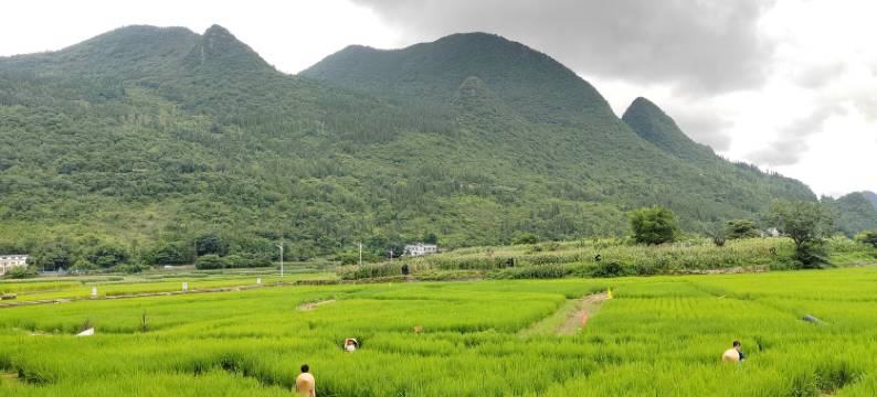 兴义万峰林行者之家图片