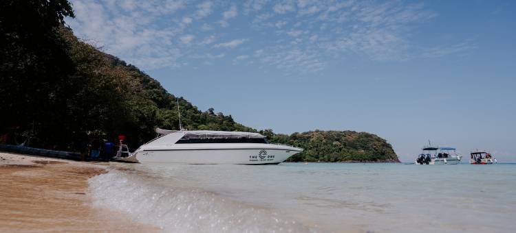 The One Tenggol Island Resort(The One Tenggol Island Resort)图片