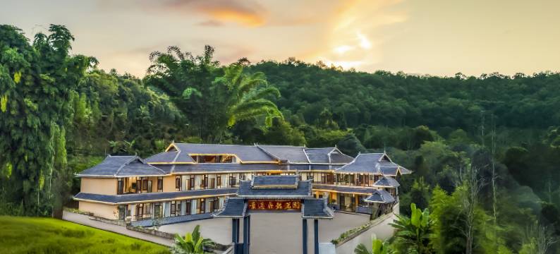 景邁鼎懿茗園(景迈糯干古寨店)图片