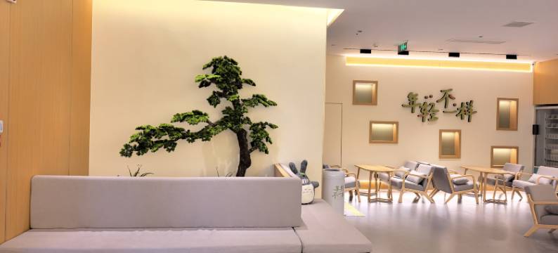 龙猫Hotel酒店(洛阳龙门高铁站兴洛湖地铁站店)图片
