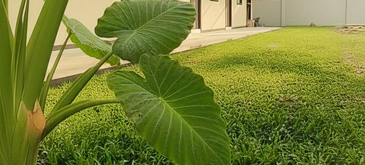 兰塔岛酒店及联合办公空间(Ko Lanta Hotels and Working Space)图片