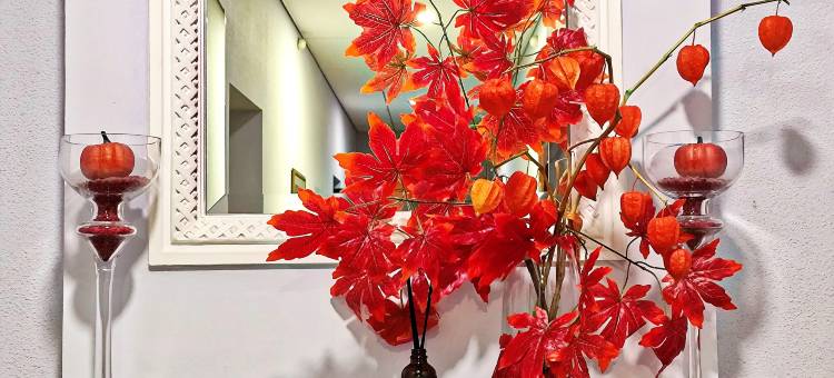 克里斯托弗酒店(Kristoff Hotel)图片