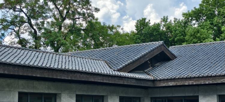 衢州东方桥庵里酒店图片