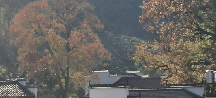 婺源石城黑皮小院(红枫叶景区店)图片