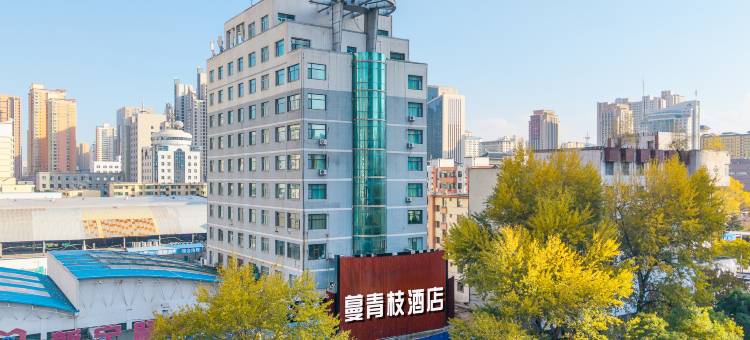 西宁蔓青枝酒店(西宁力盟步行街省博物馆店)图片