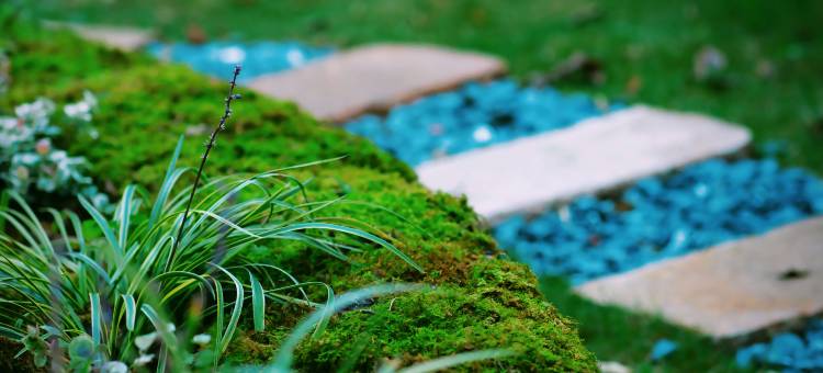 雲亼·曙光里图片