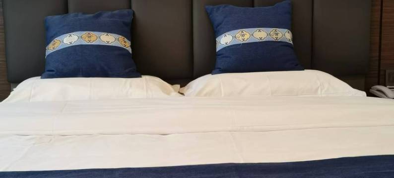 雅舒乐酒店图片