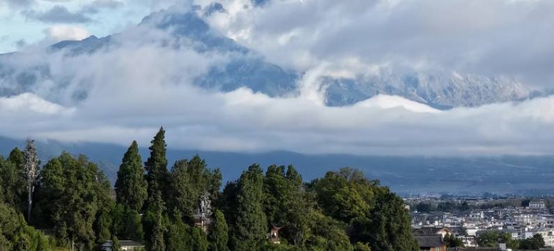 花筑·九品堂ㅣ百年古树Century Tree·森氧疗愈院墅(束河古镇店)图片