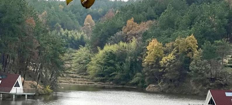 紫云山・星空庄园〡Star Manor 庄园度假美宿图片