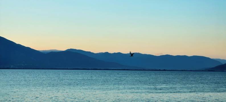 大理宏愉堂海景客栈(双廊海街店)图片