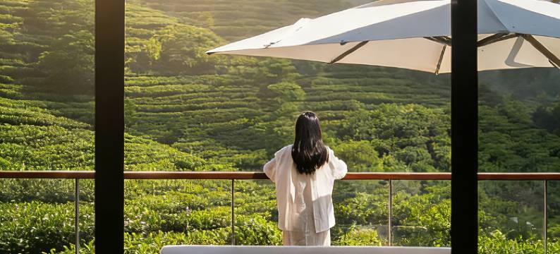 景迈六时康养度假酒店图片