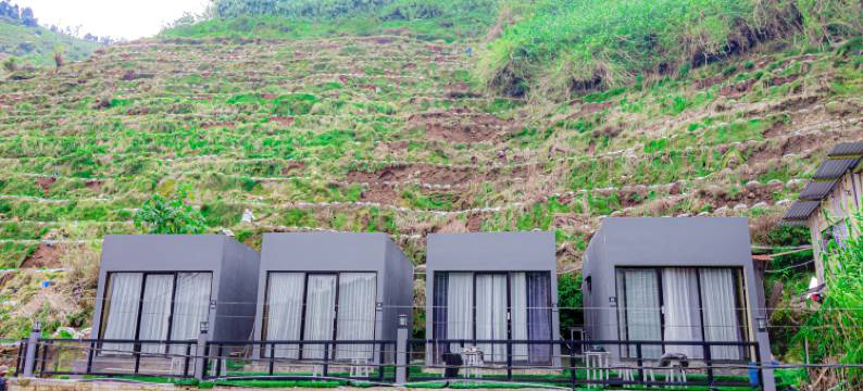 Stigma Kubus Sikunir Dieng图片