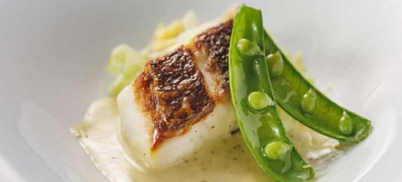 WAN WAN 宠物度假天堂 八岳(Wan Wan Paradise Yatsugatake)图片