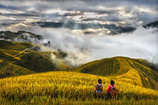 莽山森林温泉酒店图片