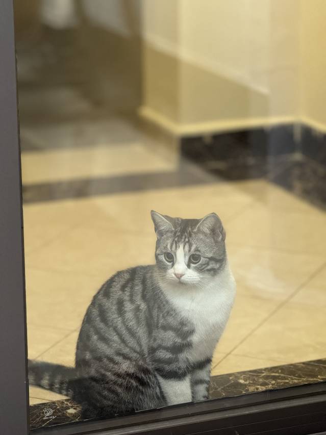 花筑·月见海套房民宿图片