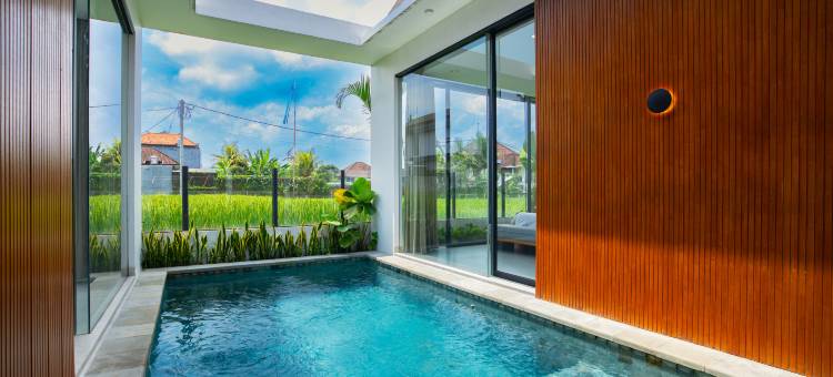 乌布拉瓦尼别墅(Lavani Ubud Villas)图片