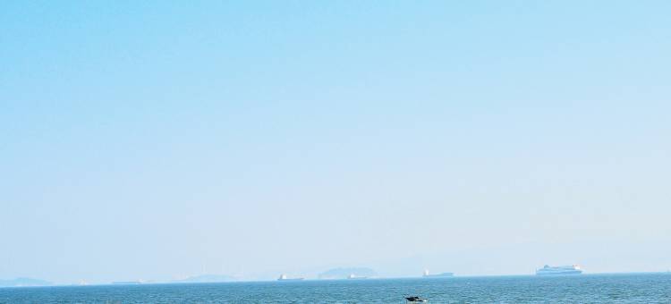 ANYBAY · 艾尼·壹水湾度假酒店(厦门环岛南路黄厝沙滩店)图片