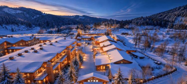 雪乡林子草堂民宿图片