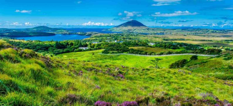 克莱尔戈尔韦酒店(Claregalway Hotel)图片