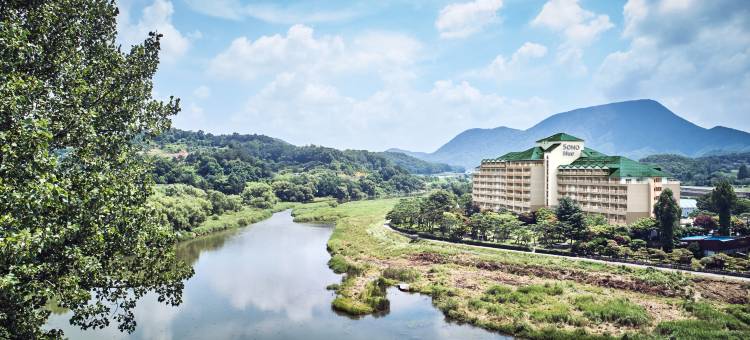 索诺BELLE 杨平郡酒店(Sono Belle Yangpyeong)图片