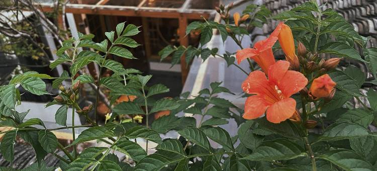 浮生居(扬州东关街皮市街店)图片