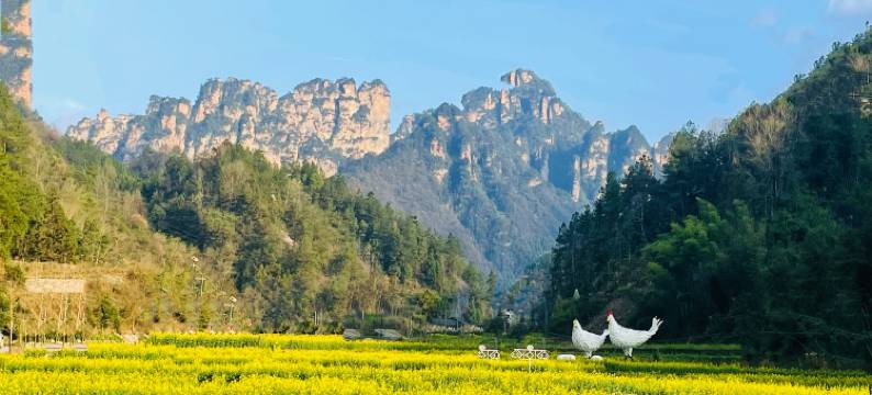 张家界在路上客栈图片