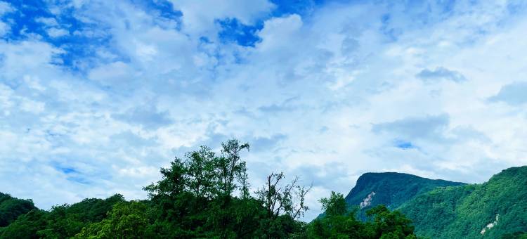 青城后山泰庄·依山伴水·温泉私汤民宿(泰安古镇店)图片