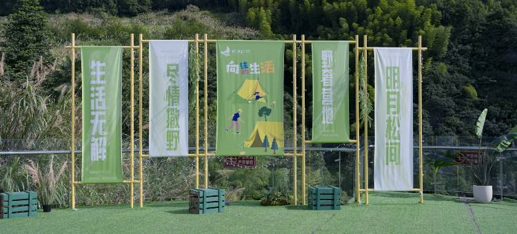 政和县稠岭明月松间露营地图片