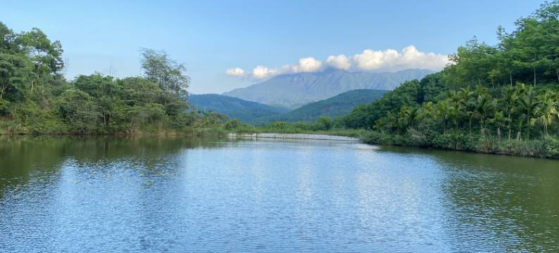 星程酒店(海口友谊阳光城国贸中心店)图片