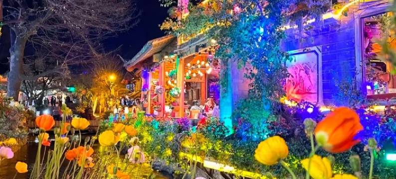 牛家大院设计师美宿(丽江古城大水车店)图片