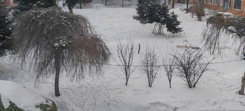 亚布力百惠宾馆图片