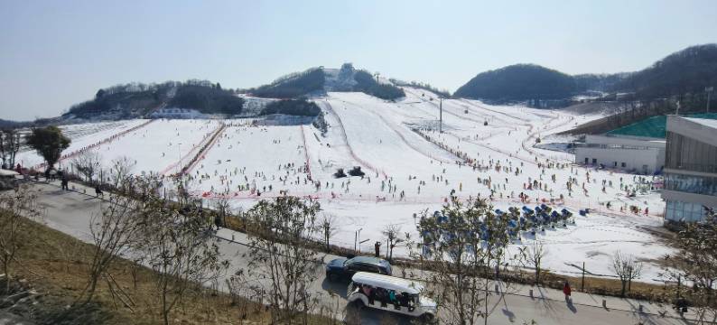 伴雪观云精品民宿(绿葱坡店)图片