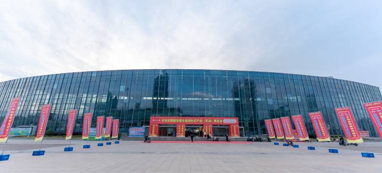 曼斯顿假日酒店(芜湖安徽师范大学花津校区国际会展中心店)图片