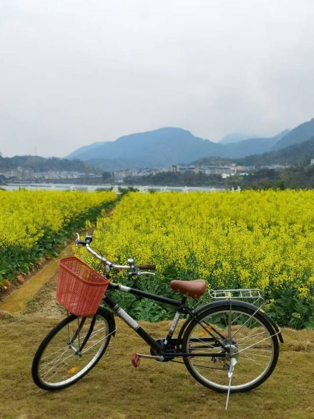 携程度假农庄(福建永泰赤锡店)图片