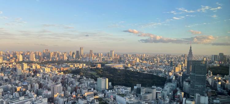 新宿宾乐雅环旅酒店(HOTEL GROOVE SHINJUKU, A PARKROYAL Hotel)图片