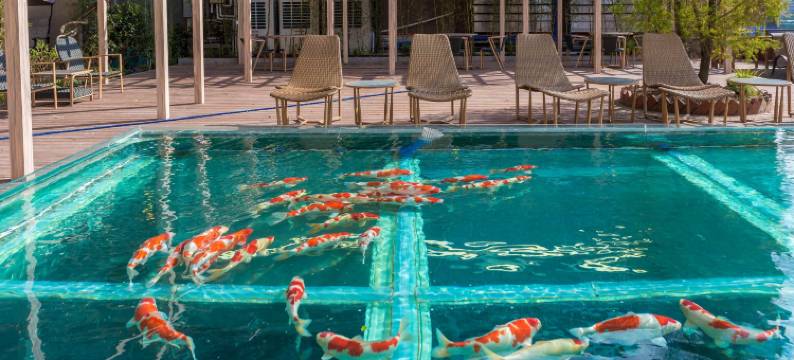 上善茶舍酒店(简阳旭海广场店)图片