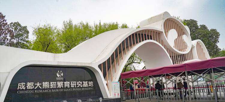 LUME既白·童趣隐奢亲子民宿(成都熊猫基地店)图片