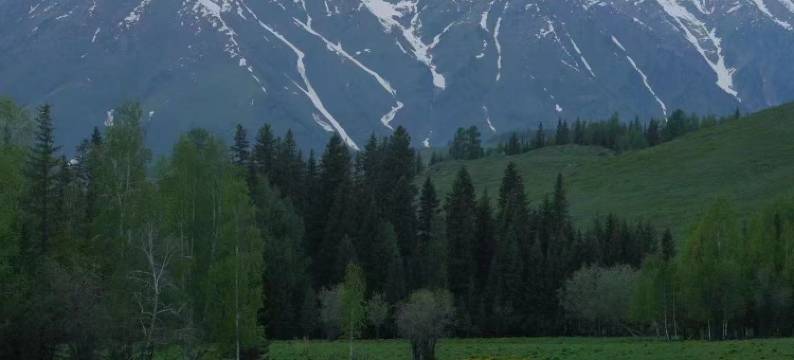 禾木禾间别院图片